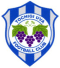 Tochigi City