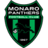 Monaro Panthers