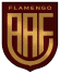Flamengo/Sp Youth