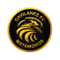 Gavilanes FC Matamoros