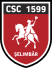 Viitorul Selimbar