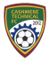 Cashmere Technical