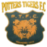 Potters Tigers